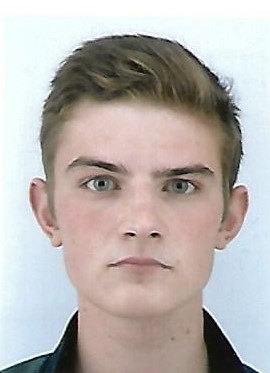 image cv victor